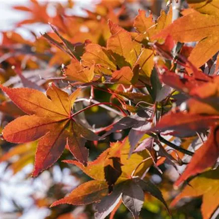 Aktuelle Tipps Aktuelle Tipps