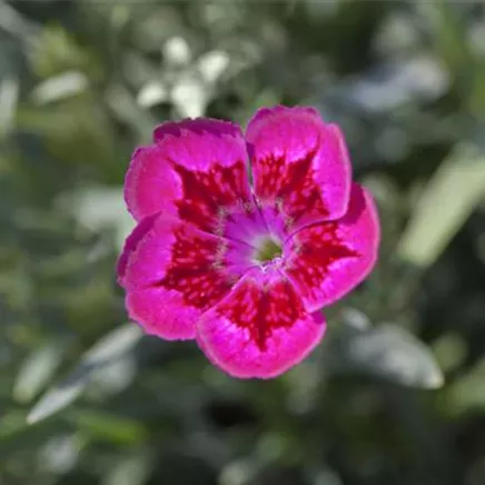 Aus der Praxis Aus der Praxis