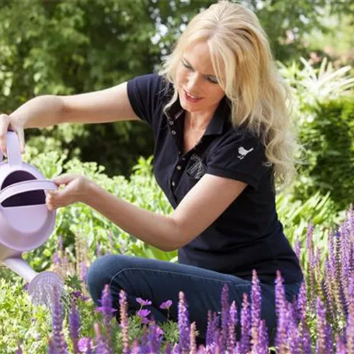 Wenn der Garten ruft: graben, lockern, schneiden 