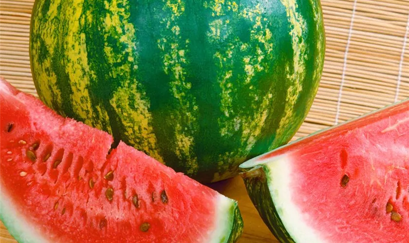 Wassermelone 'Crispy'