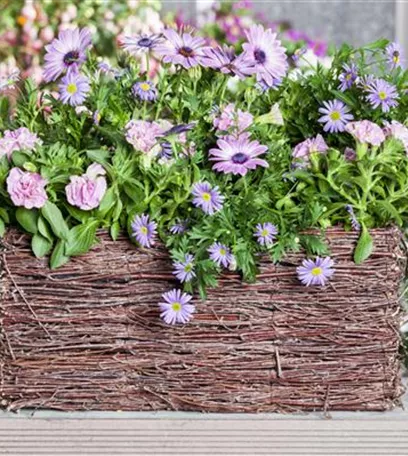 Frühling, Sommer, Herbst, Winter: der Balkon ist immer ein schöner Anblick