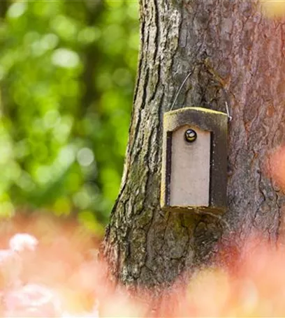 Diese Arbeiten sind jetzt im Garten noch nötig