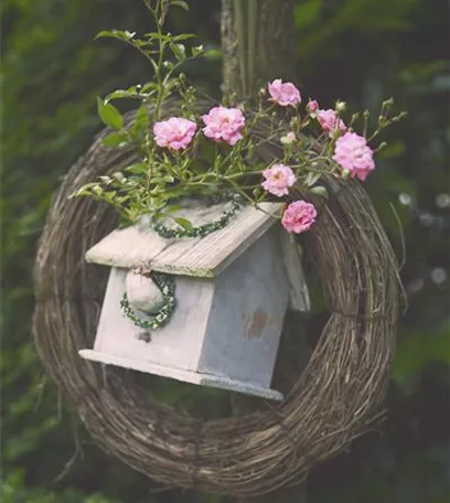 Diese Arbeiten sind jetzt im Garten noch nötig