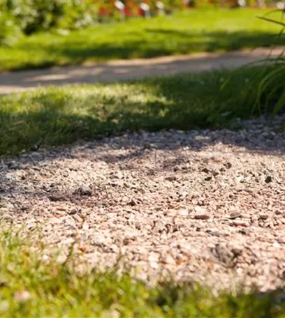 Pflastersteine und Wege – Richtige Pflege bringt lange Freude