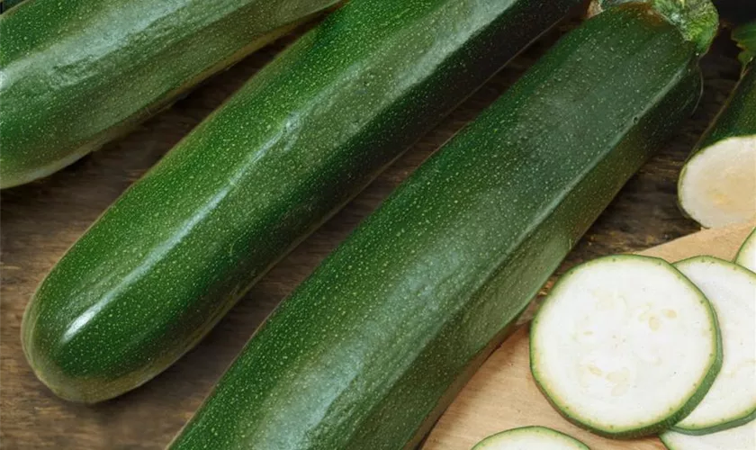 Schlangenförmige Zucchini 'Kimber'