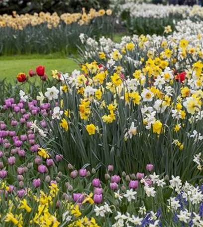 Gartenarbeiten im Mai