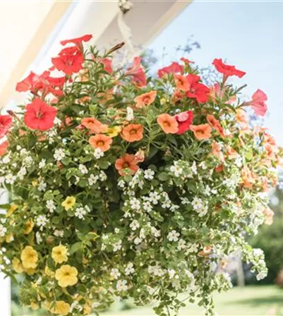 Urban Gardening – Blumenampel aus Konservendosen