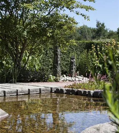 Der Wassergarten - Harmonie und Bewegung zugleich