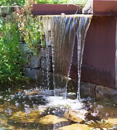 Der Wassergarten - Harmonie und Bewegung zugleich