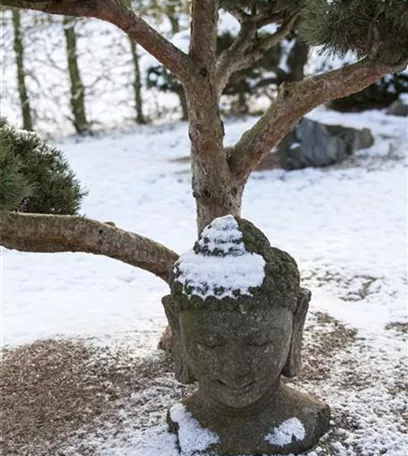 Es müssen nicht immer Zwerge sein - Skulpturen im Garten