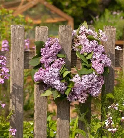 Gartenzäune und Co