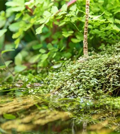 Der Bachlauf im Garten – Wasser bringt Ruhe und Erholung