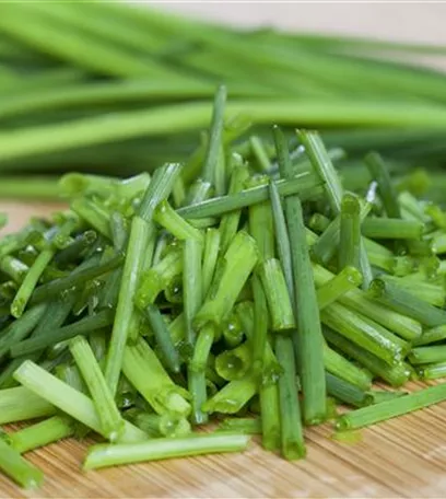 Kochen mit Kräutern aus dem Garten