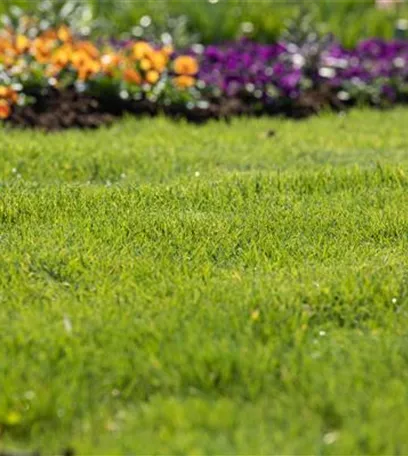 Für jeden Garten den richtigen Rasen