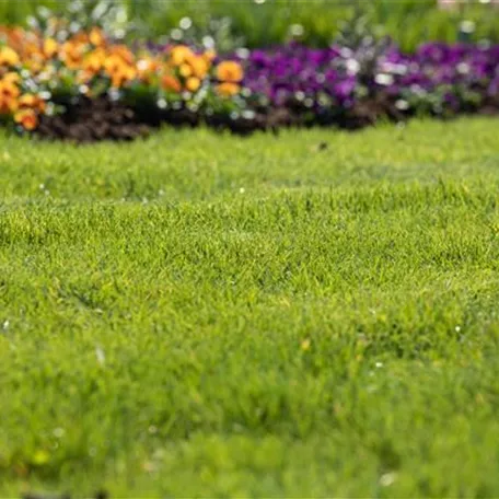 Frühjahrskur für den Rasen – endlich wieder durchatmen