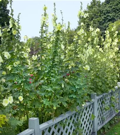 Cottage Garden: Englisches Flair im eigenen Garten