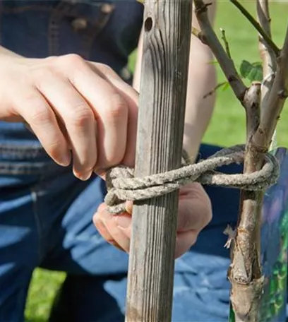 Gartenarbeiten vor dem Winter - schützen und säubern