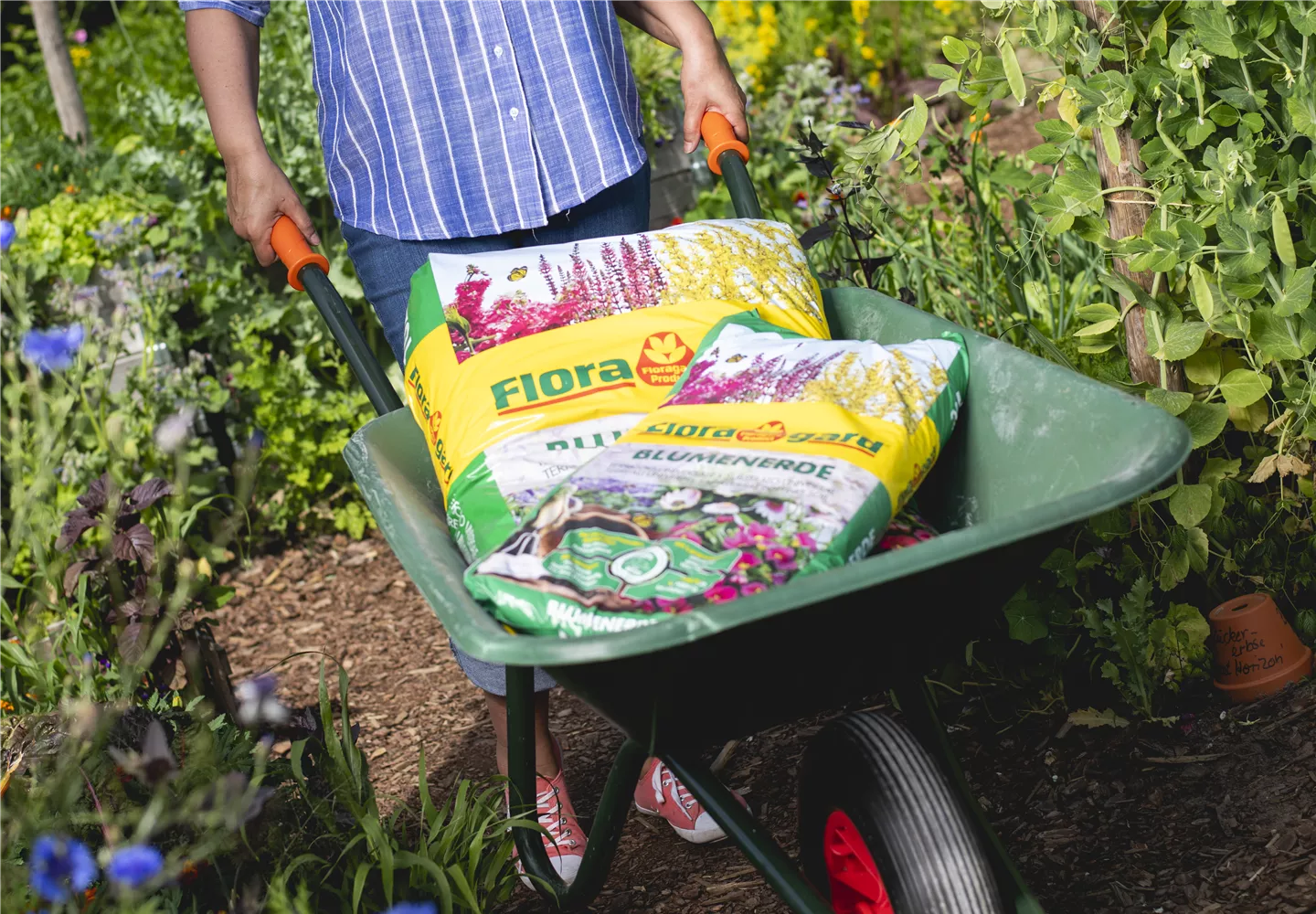 Die richtige Blumenerde für Stauden