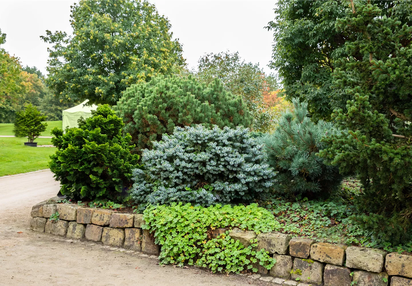 Gartenambiente mit Nadelgehölzen