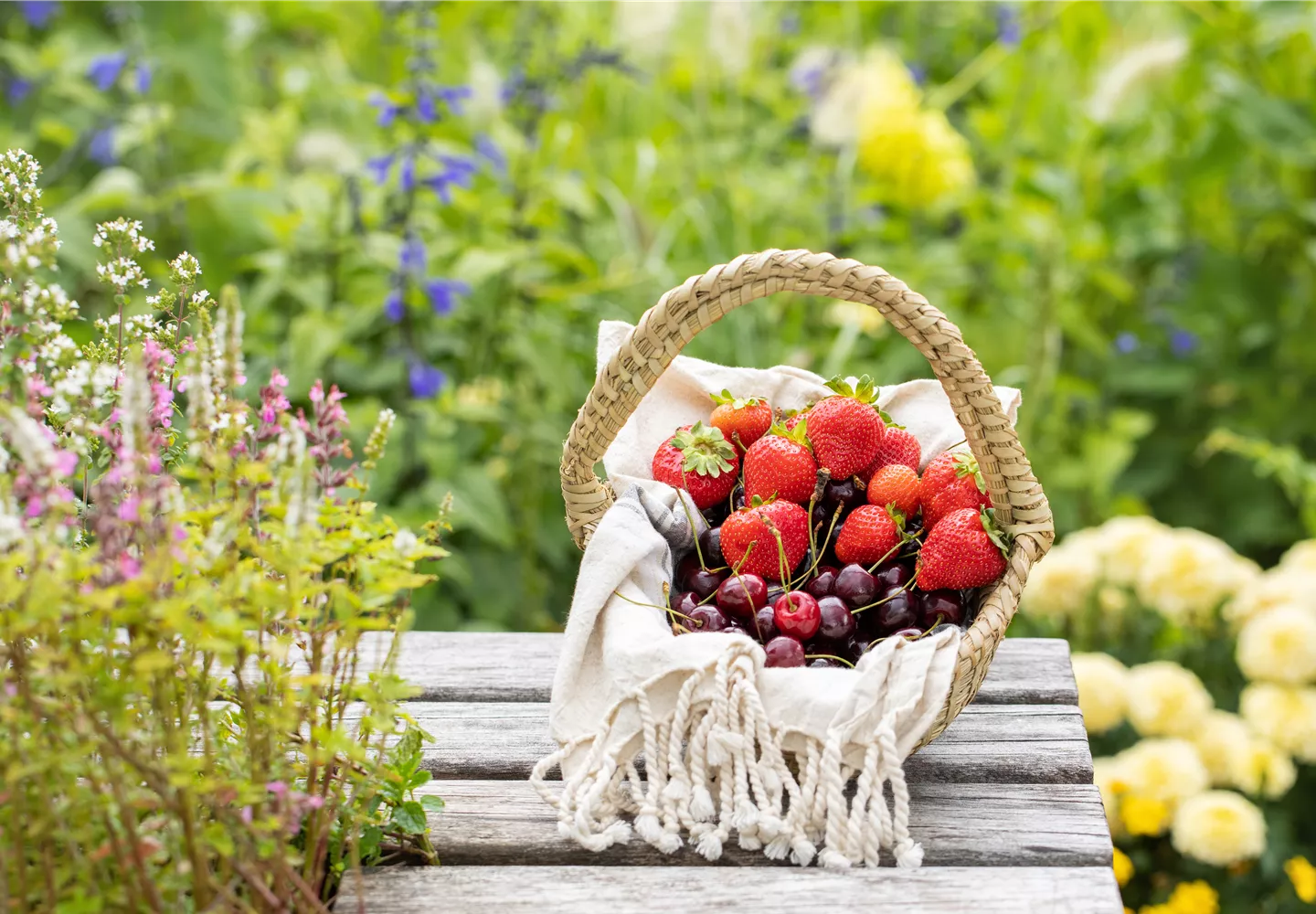 Korb mit Erdbeeren und Kirschen