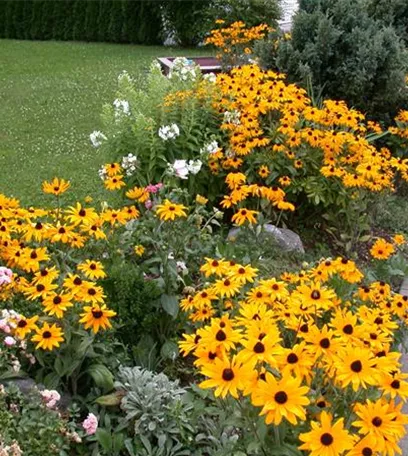 Es ist soweit: der Frühjahrsputz im Garten