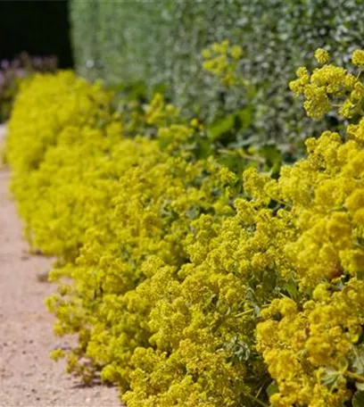 Blackbox-Gardening – die kreative Idee mit den großen Überraschungseffekten