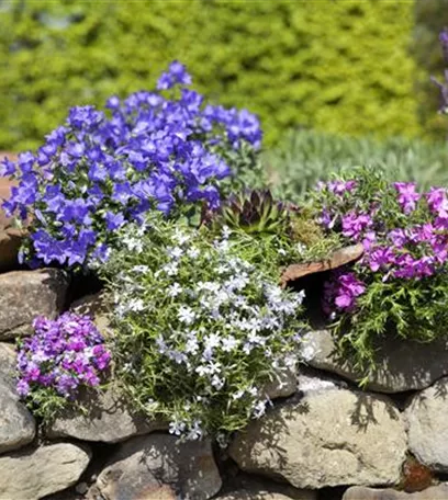 Blackbox-Gardening – die kreative Idee mit den großen Überraschungseffekten