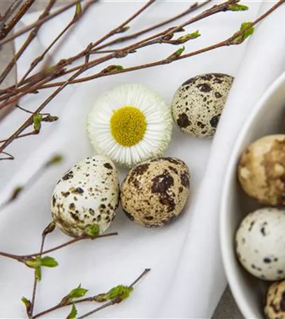 Das Garten-Paradies für Osterhase und Co.