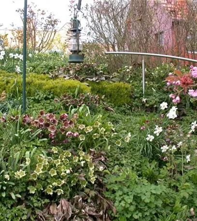 Cottage Garden: Englisches Flair im eigenen Garten