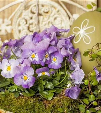 Ein buntes Osterfest mit den passenden Frühlingsboten