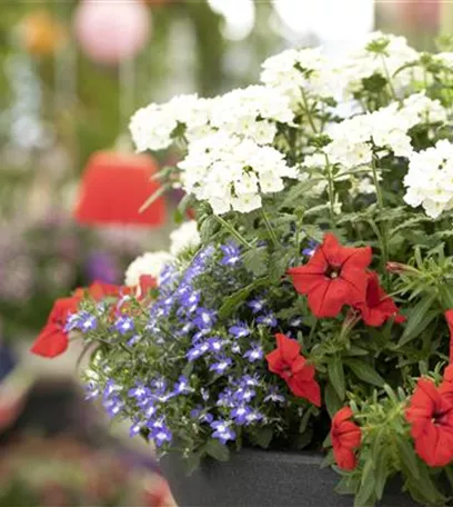 Frühling auf dem Balkon geht ohne bunte Blumen gar nicht