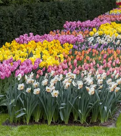 Das Blumenbeet pflegen: Gießen, düngen und schneiden