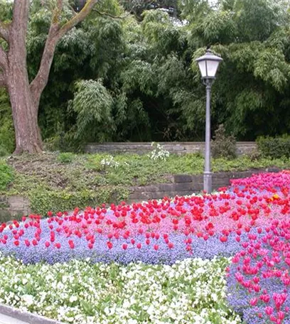 Das richtige Blumenbeet für den eigenen Garten