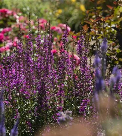 Wellness im eigenen Garten - Oasen schaffen