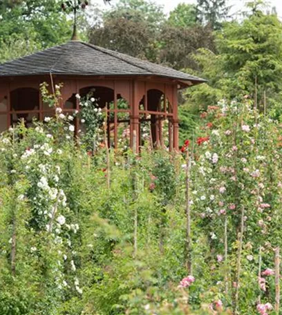 Das Gartenhaus – Wohnzimmerfeeling im Garten