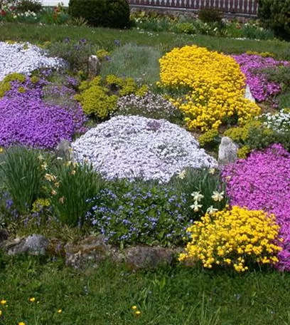 Auf dem Boden der Tatsachen – Bodendecker im Garten