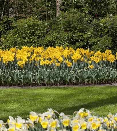 Das richtige Blumenbeet für den eigenen Garten