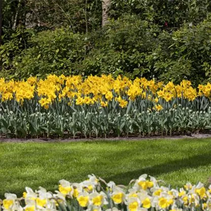 Das richtige Blumenbeet für den eigenen Garten