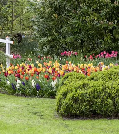 Das richtige Blumenbeet: eine Frage des Geschmacks