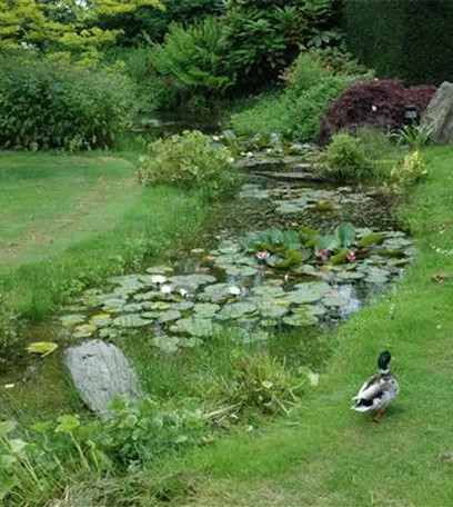 Der Bachlauf im Garten – Wasser bringt Ruhe und Erholung