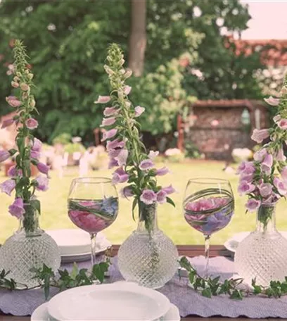 Feiern unter freiem Himmel: die besten Feste im Sommergarten