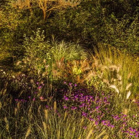 Lichtquellen machen den Garten schöner!