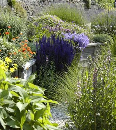 Das Staudenbeet – ein Blütenmeer im Garten