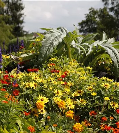 Pflegeleichter Garten: Wohlfühloase trotz wenig Zeit