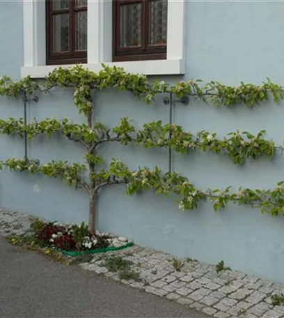 Achtung, fertig, Naschzeit - Die Ernte geht los!