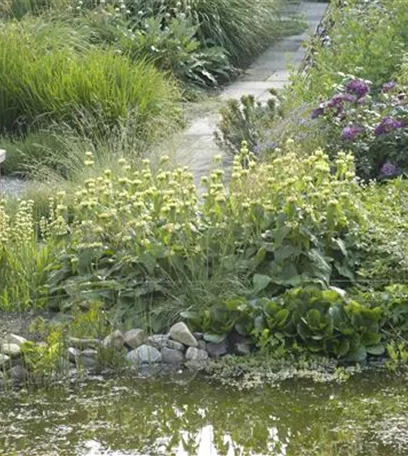 Der Naturgarten - Ausgleich zum Arbeitsalltag