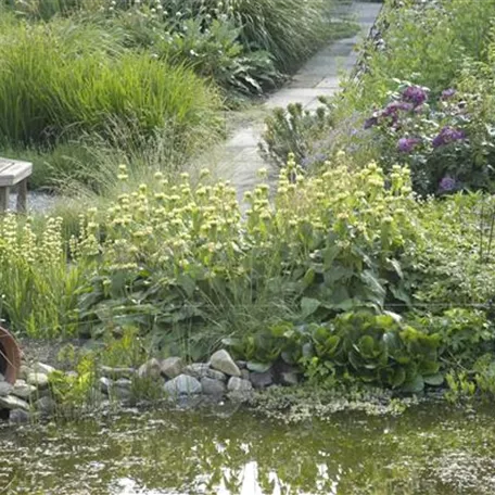 Der Naturgarten - Ausgleich zum Arbeitsalltag