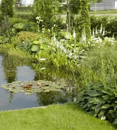 Der Naturgarten - Ausgleich zum Arbeitsalltag