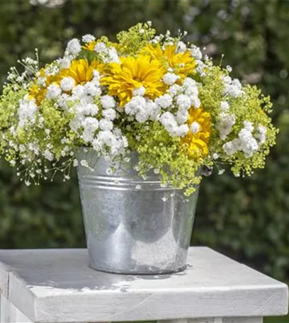 Schnittblumen aus dem eigenen Garten – den Garten ins Haus holen