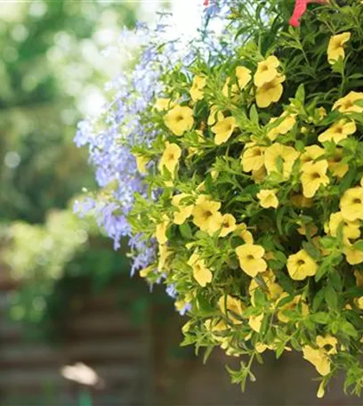 Urban Gardening – Blumenampel aus Konservendosen